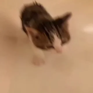 😛