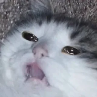 😩