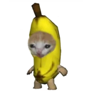 🍌