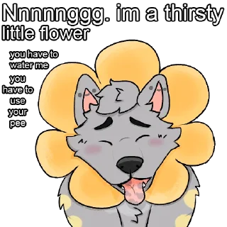 🌻