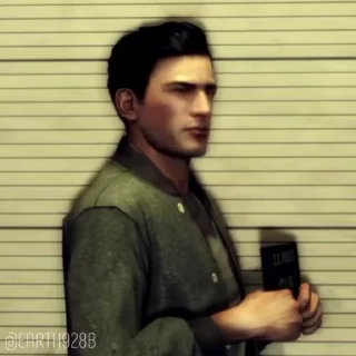 🪪