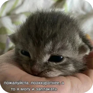 🥲