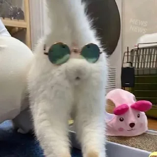 🤓