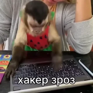 💻
