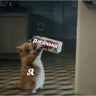 🤪