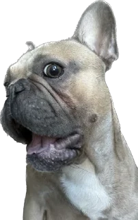 😨