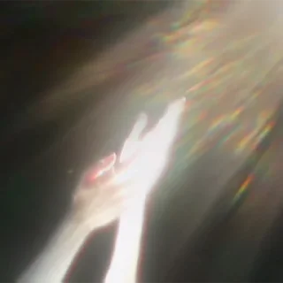 ✋
