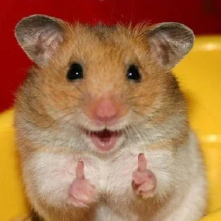 👍