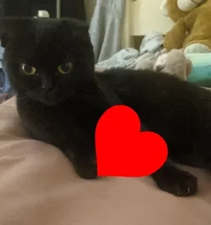 ❤️