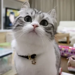 🤭