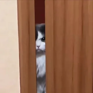 😠