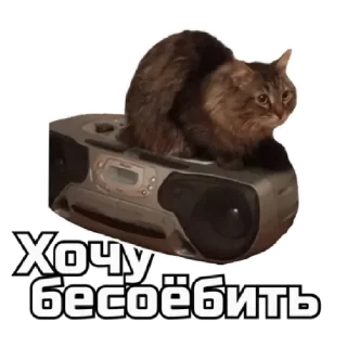 🫣