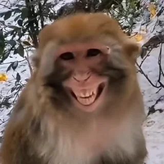 😁