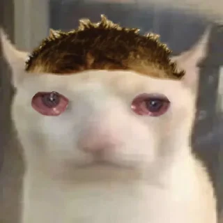 😭