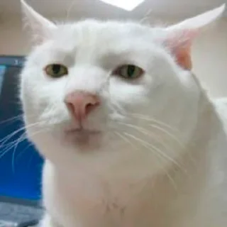 🙃