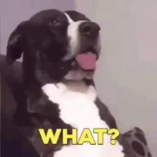🤨
