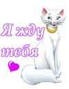 Коты аристократы :: @animesticks
