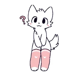 🐱
