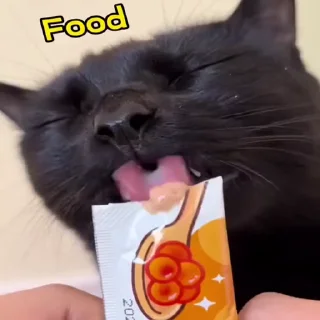 😼