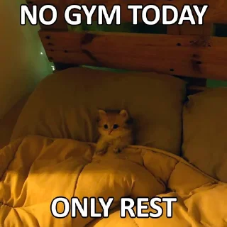 💪