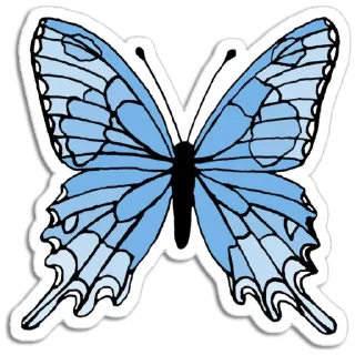 🦋