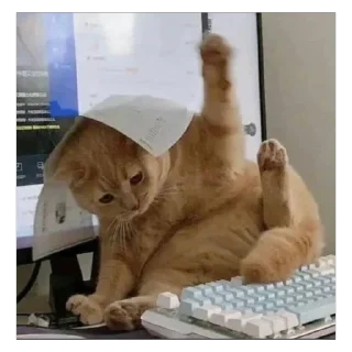 💻