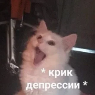 😞