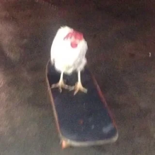 🛹