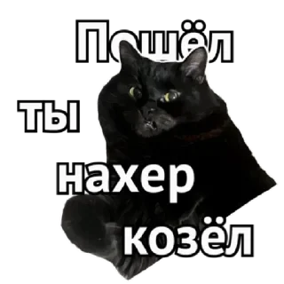 😤