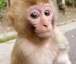 😳
