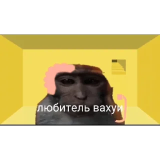 🐵