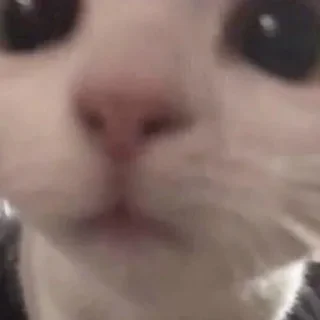 😗