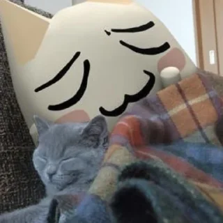 🐱