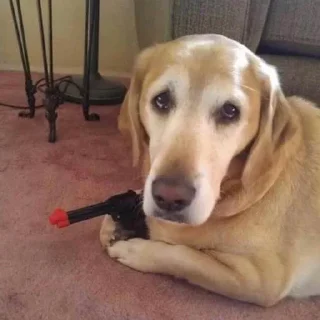 🔫