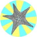 ⭐️
