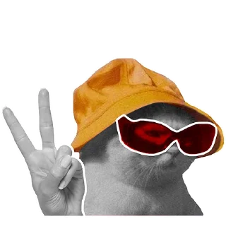 🙌