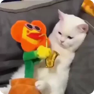 🤪