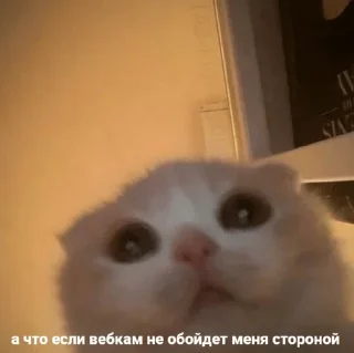 😯