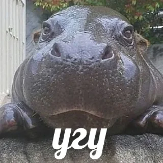 👌