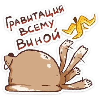⭐