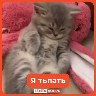 😴