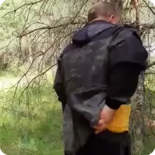 🌟