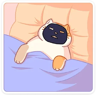 😴