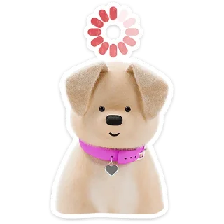 🐶