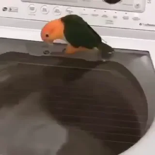 🤩