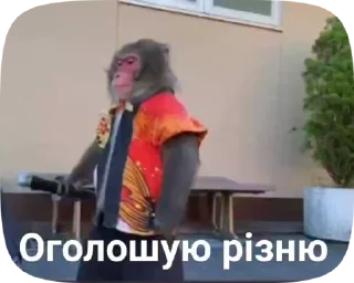 🐵
