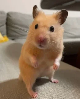 😮