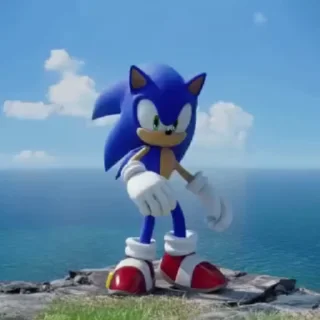 🌟