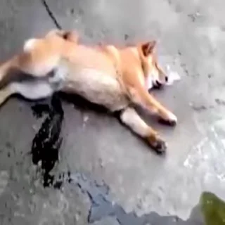 💦