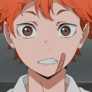 🍊